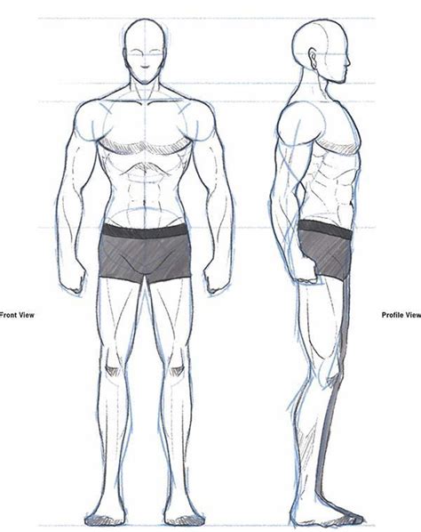 modelling male body reference|female model drawing reference.